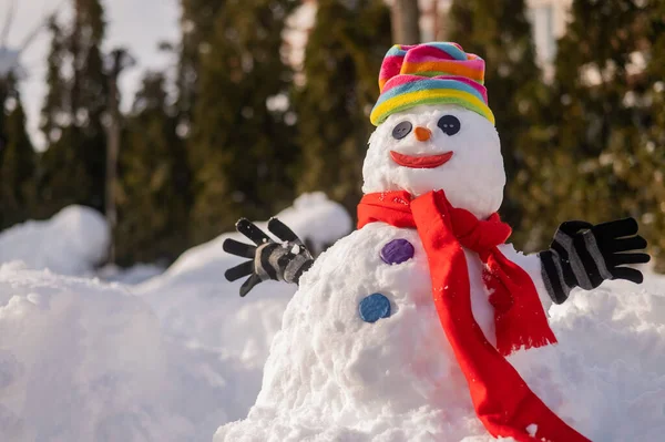 Bonhomme de neige avec chapeau arc-en-ciel. Communauté LGBT. Amusement d'hiver. — Photo