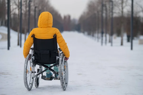 Engelli beyaz kadın kışın parkta bir sandalyeye biner. Tekerlekli sandalyede yürüyen bir kızın arka görüntüsü. — Stok fotoğraf