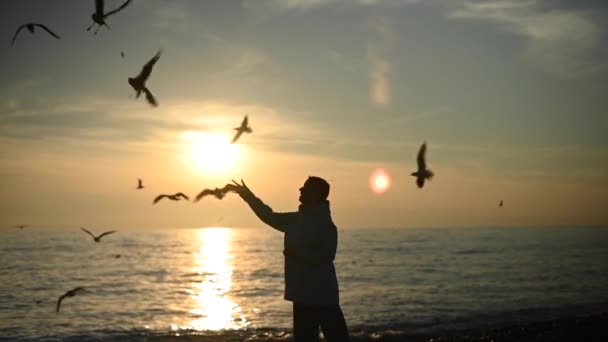 Mujer caucásica alimentando gaviotas en el mar al atardecer. — Vídeos de Stock