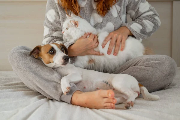 Biała kobieta trzymająca białego puszystego kota i psa Jacka Russella Terriera siedzącego na łóżku. Rudowłosa dziewczyna przytula się do zwierząt domowych. — Zdjęcie stockowe