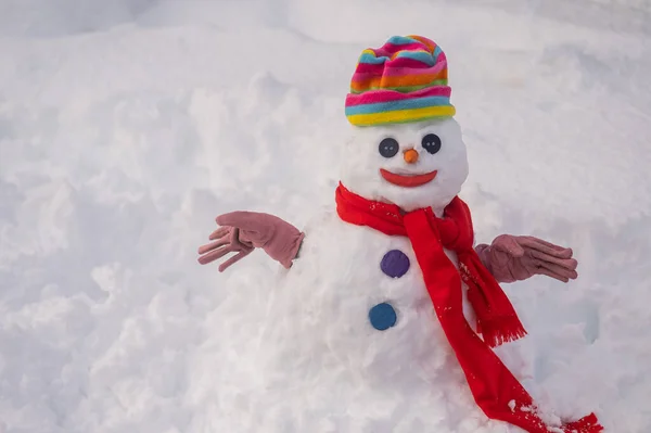 Bonhomme de neige avec chapeau arc-en-ciel. Communauté LGBT. Amusement d'hiver. — Photo