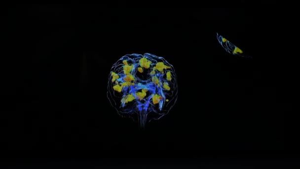 3D-modell av rörelsen av nervimpulser i den mänskliga hjärnan. — Stockvideo