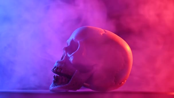 人类的头骨在黑色的背景上旋转着粉色和蓝色的烟雾。万圣节. — 图库视频影像