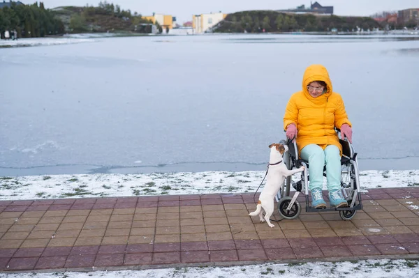 Donna caucasica in sedia a rotelle porta il cane in inverno. — Foto Stock