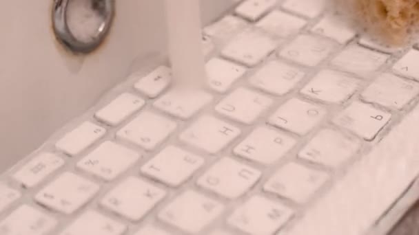 Kobieta myje białą klawiaturę komputerową gąbką z pianką. — Wideo stockowe