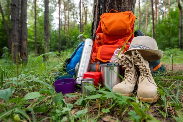 Hiking equipment in a pine forest. Backpack, thermos, sleeping bag, compass, hat and shoes