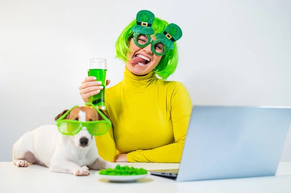 Молодая женщина в зеленом парике и веселых очках пьет пиво и кусает орешки. Девушка сидит с собакой за столом и празднует День святого Патрика в Интернете, общаясь с друзьями на ноутбуке. — стоковое фото