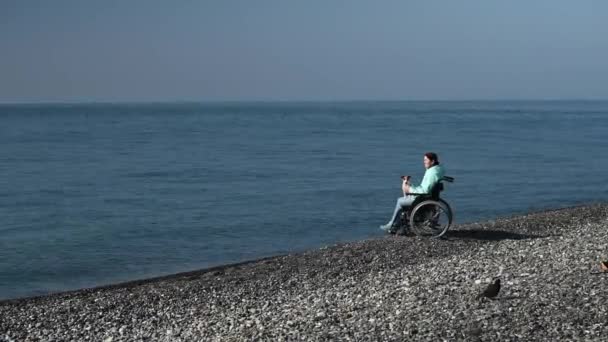 Kavkazská žena sedí na vozíku se psem na pobřeží. — Stock video