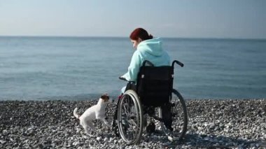 Tekerlekli sandalyede oturan beyaz bir kadın ve deniz kıyısında bir köpek.. 