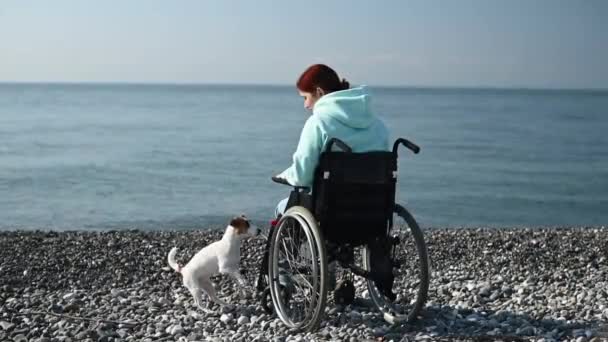 Biała kobieta siedząca na wózku inwalidzkim z psem na brzegu morza. — Wideo stockowe