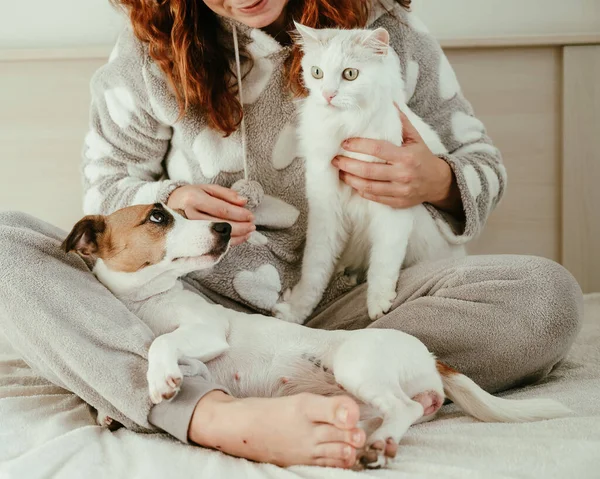 Mulher caucasiana segurando um gato fofo branco e Jack Russell Terrier cão enquanto sentado na cama. Os abraços de menina de cabelos vermelhos com animais de estimação. — Fotografia de Stock