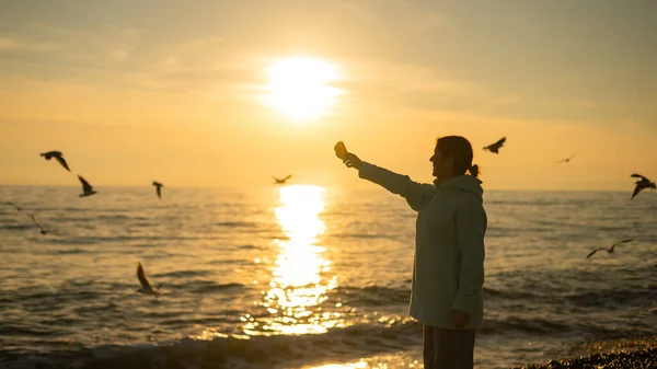 Femme caucasienne nourrissant les mouettes sur la mer au coucher du soleil. — Photo