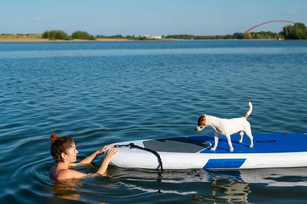 Dog jack russell terrier nada no tabuleiro com o proprietário. Uma mulher e seu animal de estimação passam o tempo juntos no lago — Fotografia de Stock