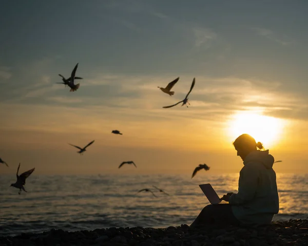 Caucasian woman typing on a laptop on the seashore. Girl freelancer works on the beach and seagulls fly at sunset.