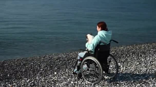Blank vrouw in een rolstoel knuffelen met een hond in de buurt van de zee. — Stockvideo