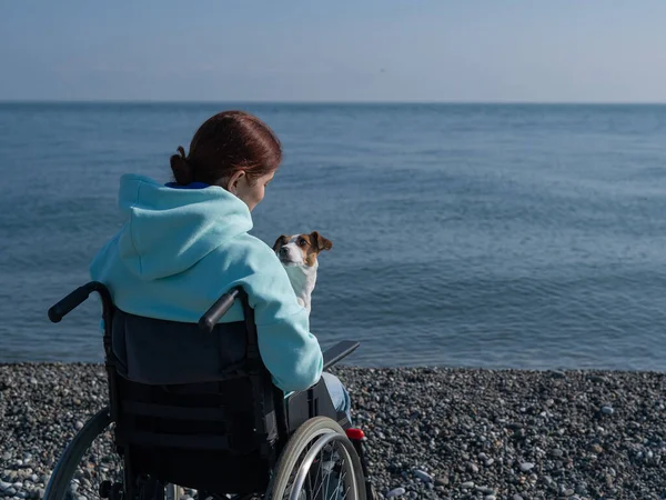 Donna caucasica in sedia a rotelle coccole con un cane vicino al mare. — Foto Stock