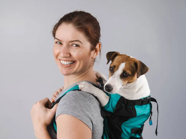 Caucásico mujer lleva jack russell terrier perro en su mochila. — Foto de Stock