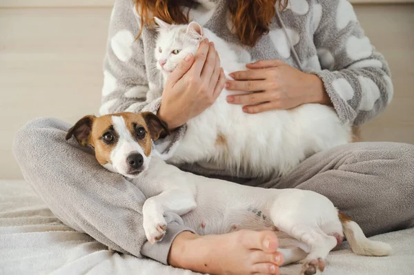 Vit kvinna med en vit fluffig katt och Jack Russell Terrier-hund sittande på sängen. Den rödhåriga flickan kramar med husdjur. — Stockfoto