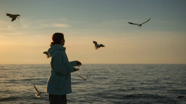 Kaukasisk kvinna som matar måsar på havet vid solnedgången. — Stockfoto