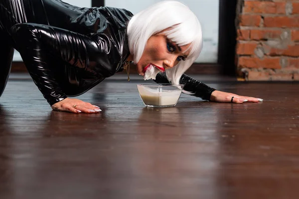 Egy szexi nő rövid fehér parókában és latex öltönyben macskaként tejet iszik a padlóról. Szerepjátékok — Stock Fotó