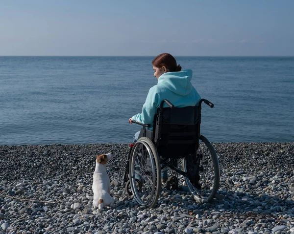 Vit kvinna sittande i rullstol med hund på stranden. — Stockfoto