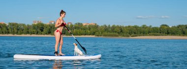 Köpek Jack Russell Terrier sahibi ile birlikte sörf tahtasında yüzüyor. Bir kadın ve evcil hayvanı gölde birlikte vakit geçiriyorlar.