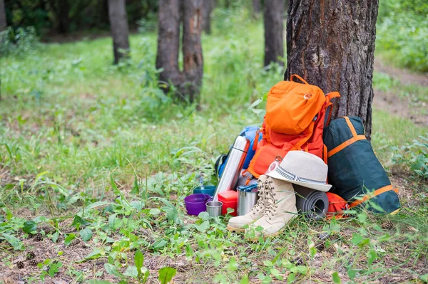 Обладнання для прогулянок в сосновому лісі. Рюкзак, термос, спальний мішок, компас, капелюх та взуття — стокове фото