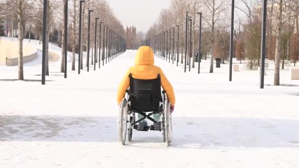 Blanke vrouw met een handicap rijdt in de winter op een stoel in het park. Achteraanzicht van een meisje op een wandeling in een rolstoel. — Stockvideo