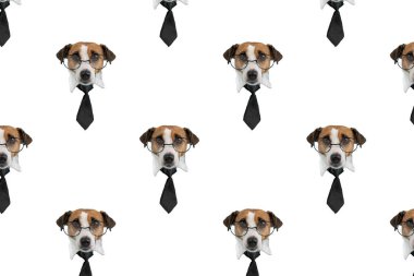 Beyaz arka planda gözlüklü ve kravatlı Jack Russell Terrier köpeği ağzı. İzole et. Kusursuz desen.