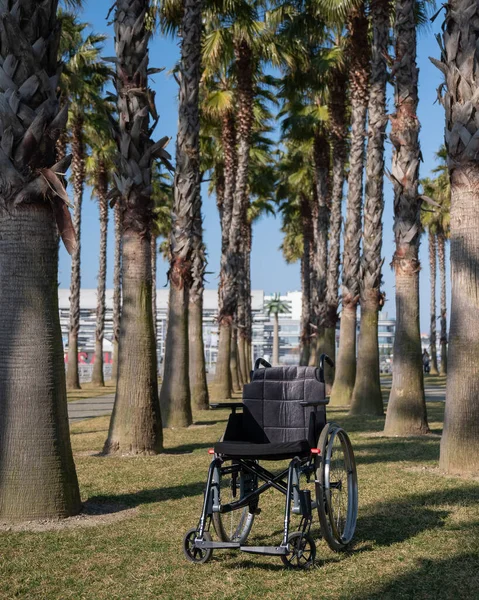 Άδεια αναπηρική καρέκλα κάτω από φοίνικες σε μια ηλιόλουστη μέρα του καλοκαιριού. — Φωτογραφία Αρχείου