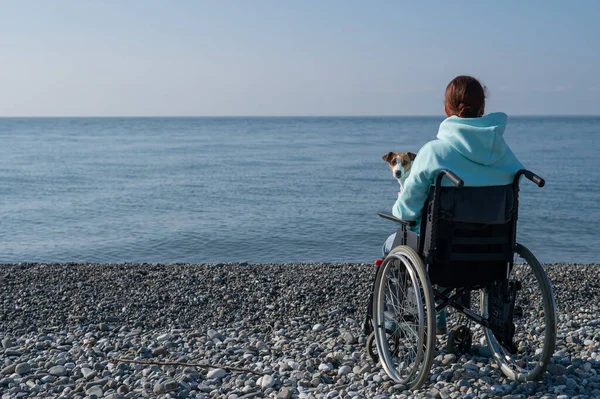 Donna caucasica in sedia a rotelle coccole con un cane vicino al mare. — Foto Stock