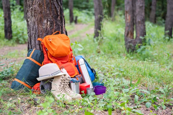 Equipo de senderismo en un bosque de pinos. Mochila, termo, saco de dormir, brújula, sombrero y zapatos — Foto de Stock