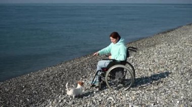 Tekerlekli sandalyedeki beyaz kadın deniz kıyısında bir köpekle oynuyor.. 