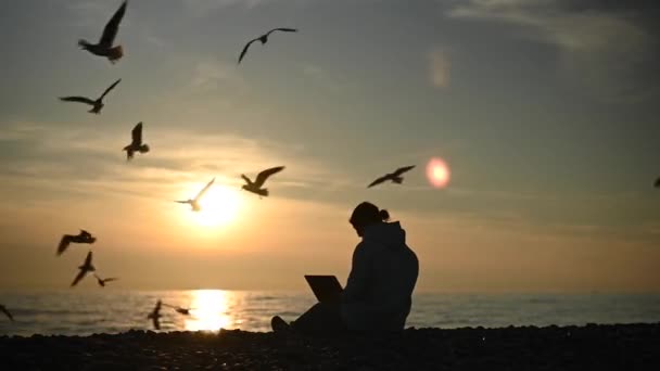 Mujer caucásica escribiendo en un portátil en la orilla del mar al atardecer. Trabajo independiente. — Vídeos de Stock