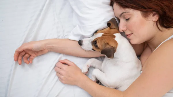 Mulher caucasiana está cochilando na cama abraçando seu cão amado. — Fotografia de Stock