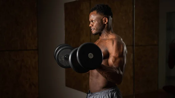 Muscular dark-skinned man doing an exercise with dumbbells.