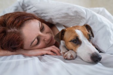 Kafkasyalı kızıl saçlı kadın beyaz çarşafta Jack Russell teriyer köpeğiyle kucak kucağa uyuyor..