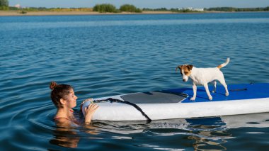 Köpek Jack Russell Terrier sahibi ile birlikte sörf tahtasında yüzüyor. Bir kadın ve evcil hayvanı gölde birlikte vakit geçiriyorlar.