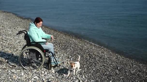 Mujer Caucásica Silla Ruedas Jugando Con Perro Orilla Del Mar — Vídeo de stock