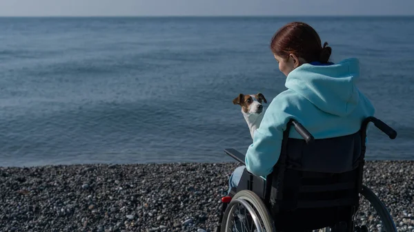 Vit Kvinna Rullstol Som Kramas Med Hund Nära Havet — Stockfoto