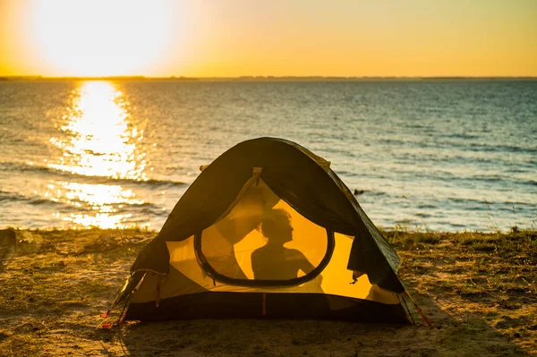 Kvinna Och Hund Ett Turisttält Vid Solnedgången Camping Med Husdjur — Stockfoto