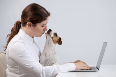 Dizlerinin üzerinde köpek Jack Russell Terrier ile çalışan beyaz bir kadın.