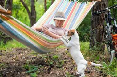 Beyaz kadın bir hamakta Jack Russell Terrier köpeğiyle çam ormanında yatıyor..