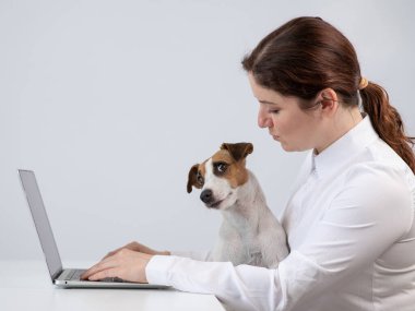 Dizlerinin üzerinde köpek Jack Russell Terrier ile çalışan beyaz bir kadın.