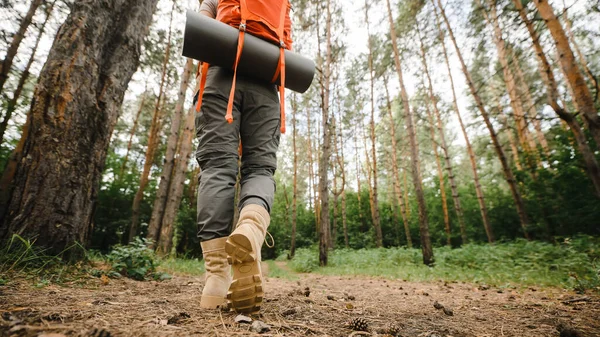 Жінка Займається Пішим Туризмом Сосновому Лісі Крупним Планом Ноги — стокове фото
