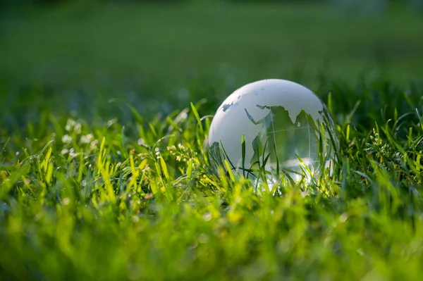 Close Crystal Globe Green Lawn — Stock Photo, Image