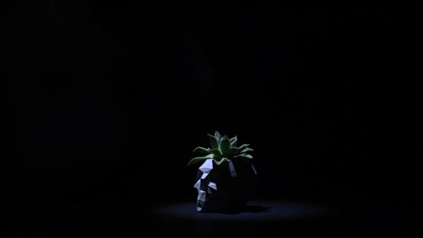 黑黑的背景上的头盖骨形状的壶中植物上的烟雾 — 图库视频影像
