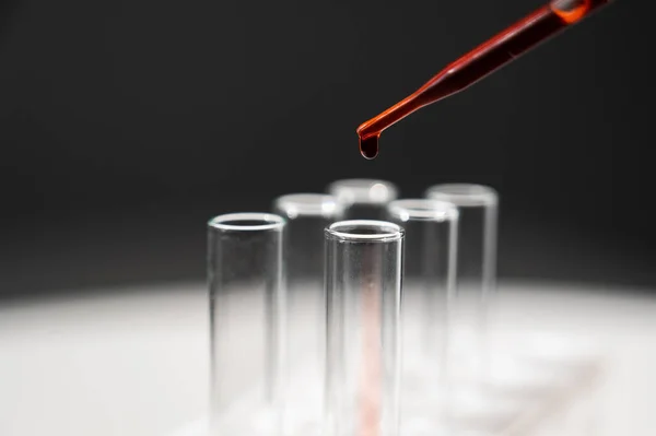 Laboratuvar Asistanının Pipetten Kan Damlatarak Test Tüpüne Kan Damlattığı Yakın — Stok fotoğraf