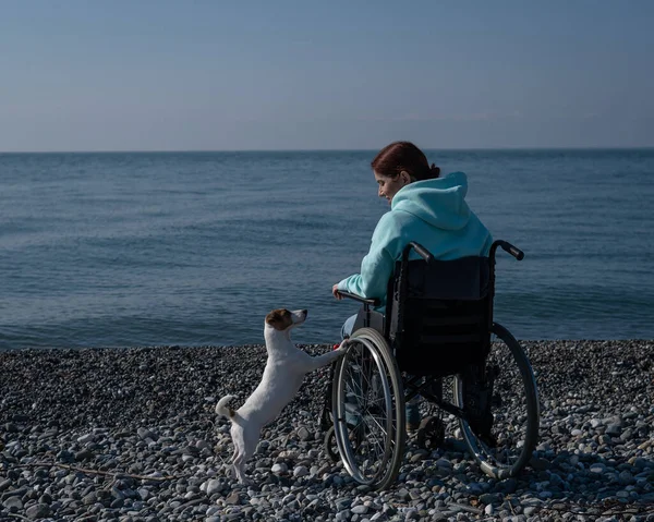 Vit Kvinna Sittande Rullstol Med Hund Stranden — Stockfoto