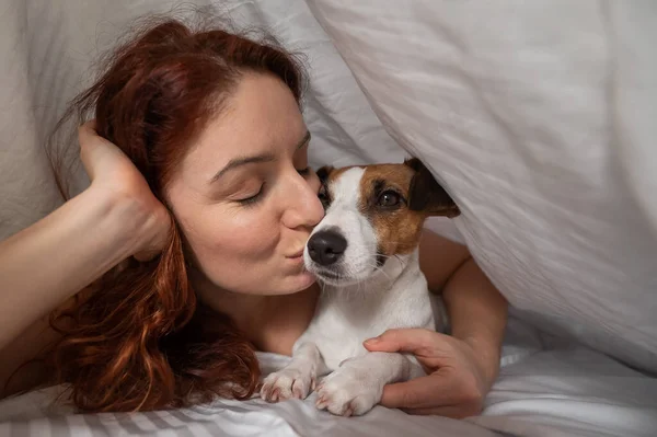 Mulher Cabelos Vermelhos Caucasiana Dorme Abraço Com Cão Terrier Jack — Fotografia de Stock